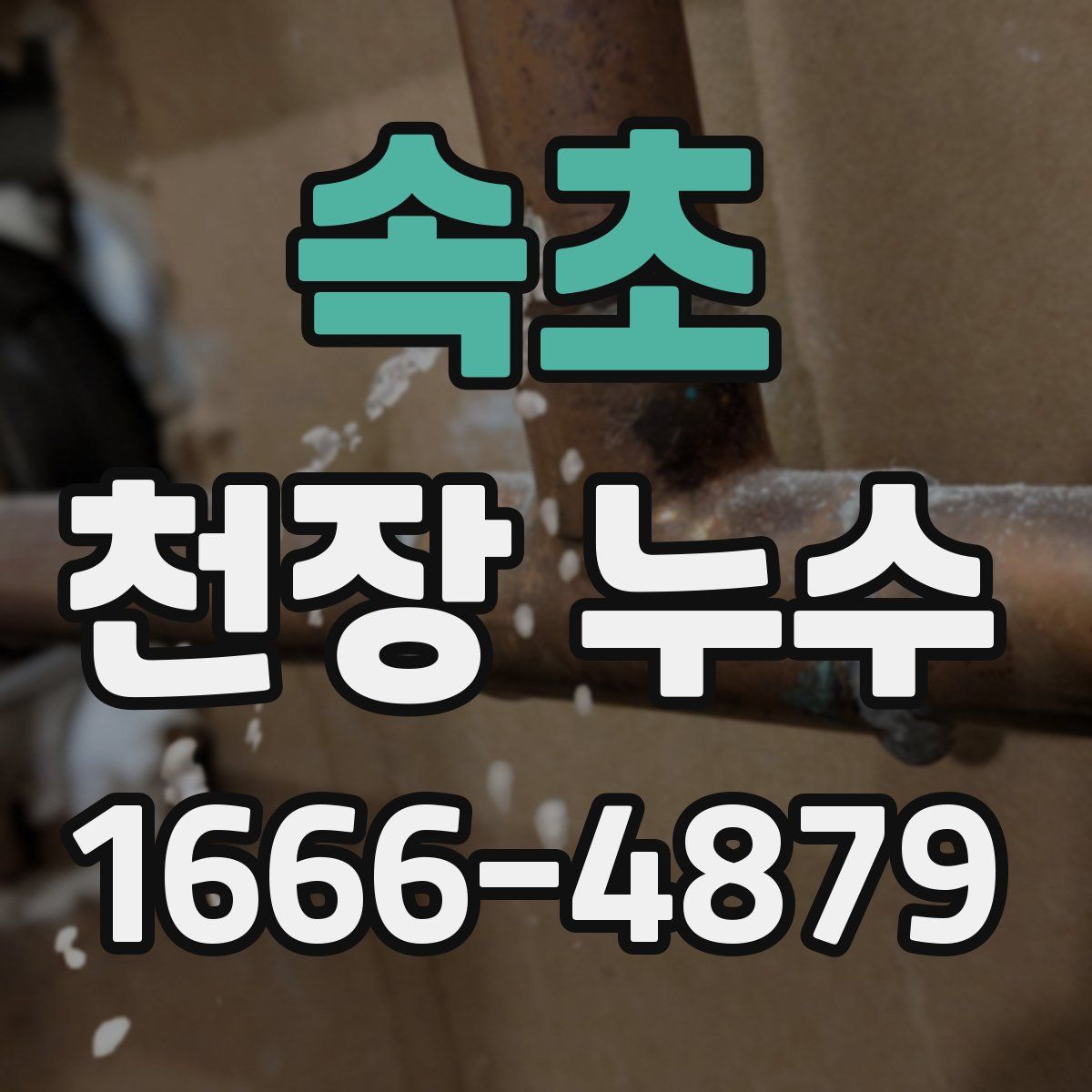 속초 천장 누수