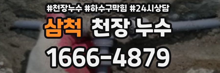 삼척 천장 누수