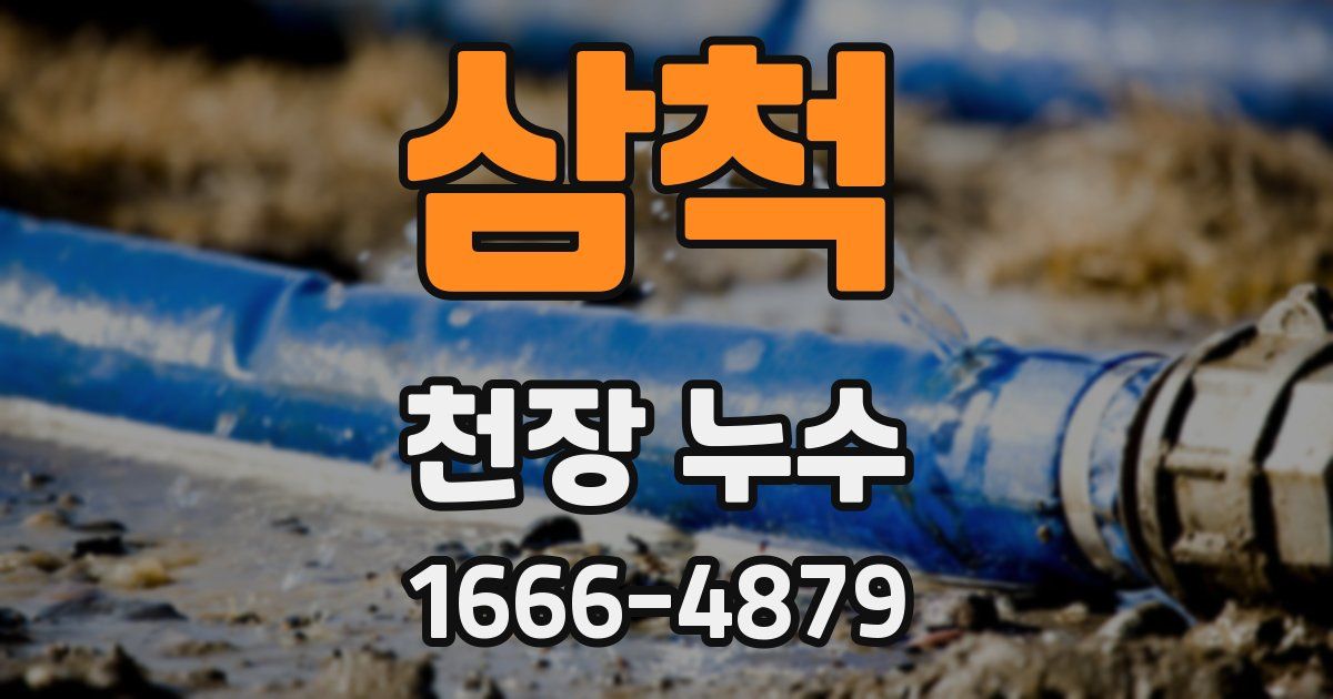 삼척 천장 누수