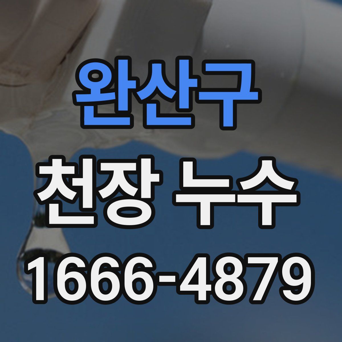 완산구 천장 누수