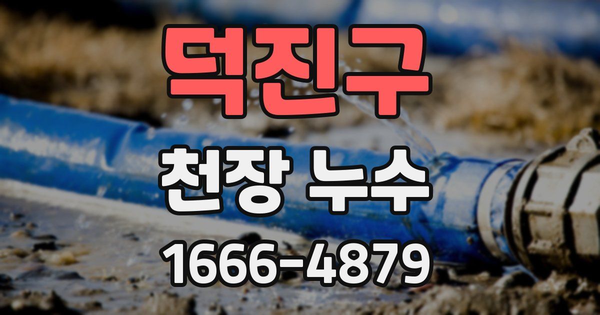 덕진구 천장 누수