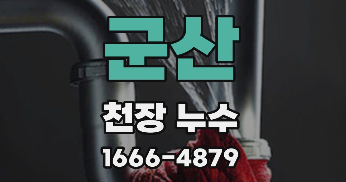 군산 천장 누수