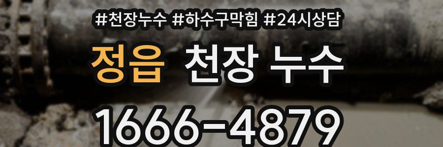 정읍 천장 누수