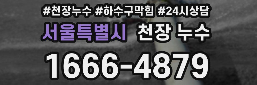 서울특별시 천장 누수
