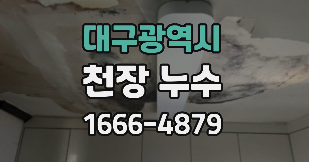 대구광역시 천장 누수