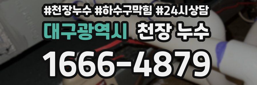 대구광역시 천장 누수
