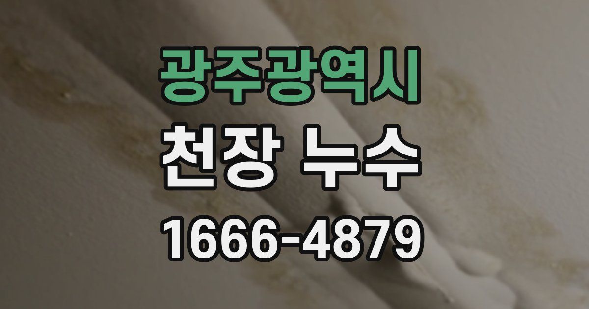 광주광역시 천장 누수
