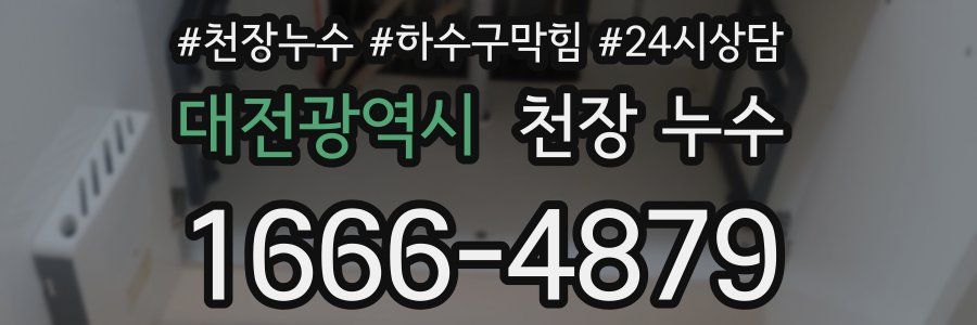 대전광역시 천장 누수