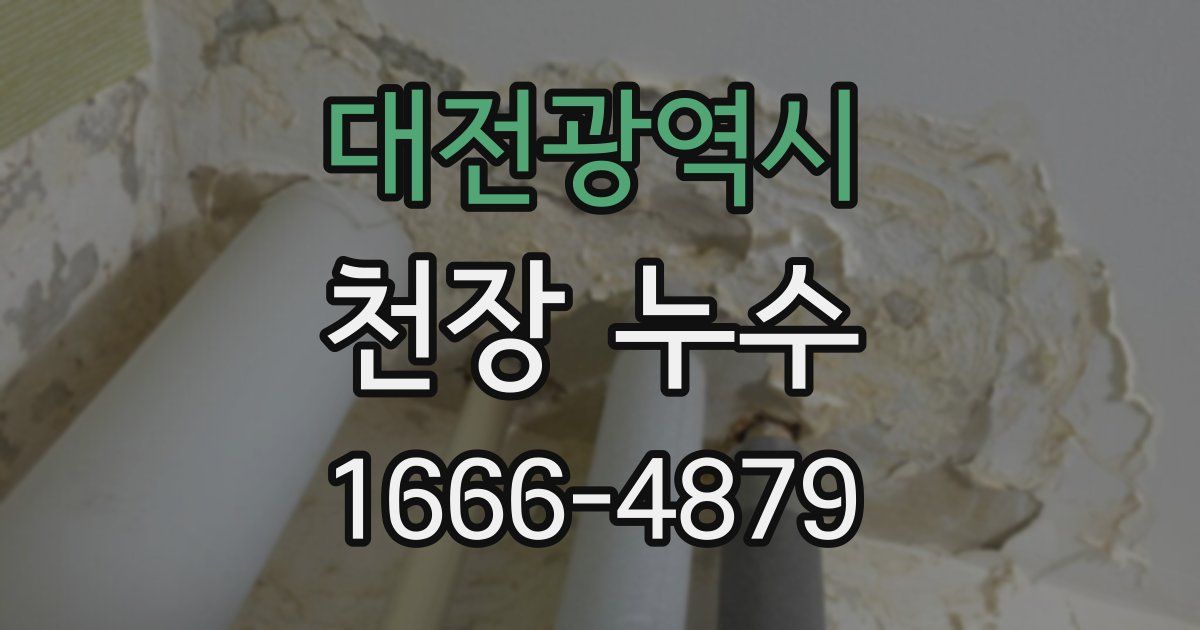 대전광역시 천장 누수