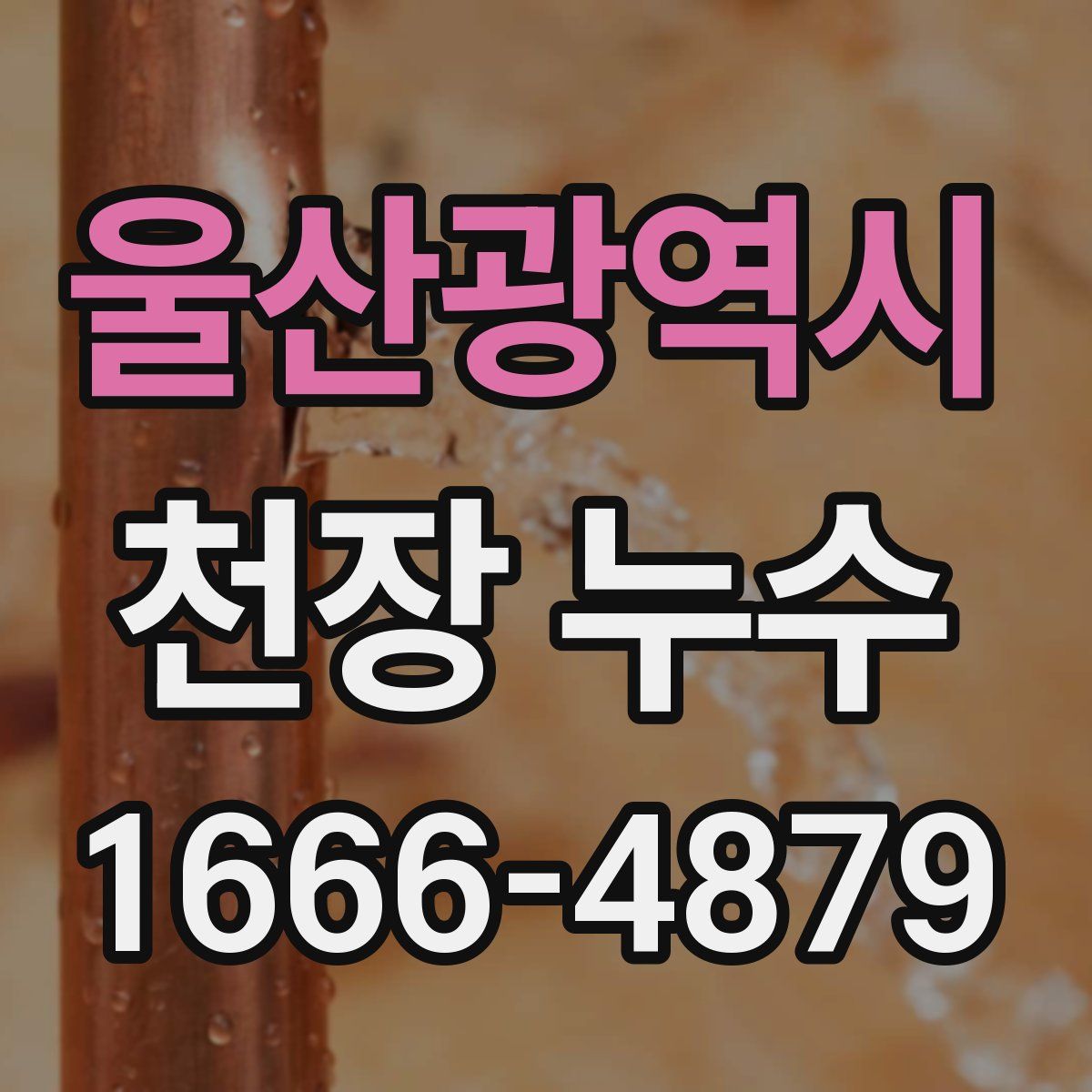 울산광역시 천장 누수