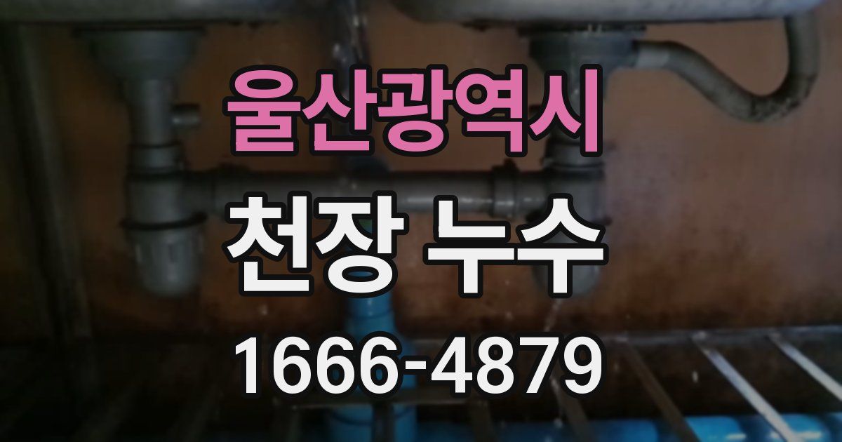 울산광역시 천장 누수