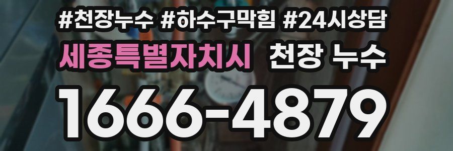세종특별자치시 천장 누수
