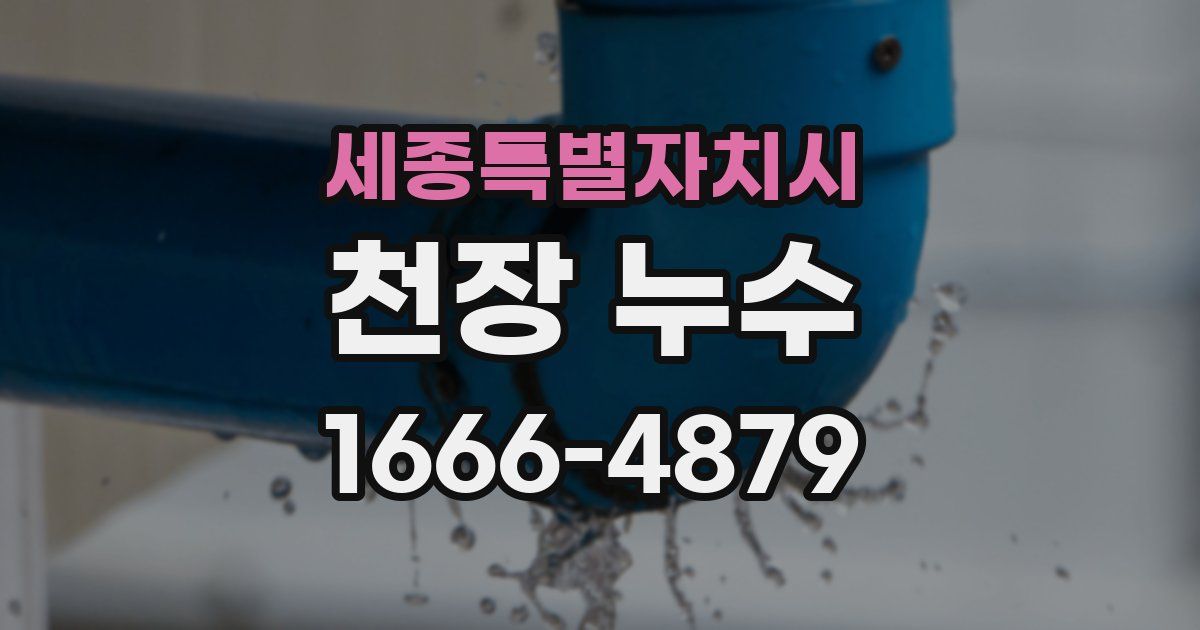 세종특별자치시 천장 누수