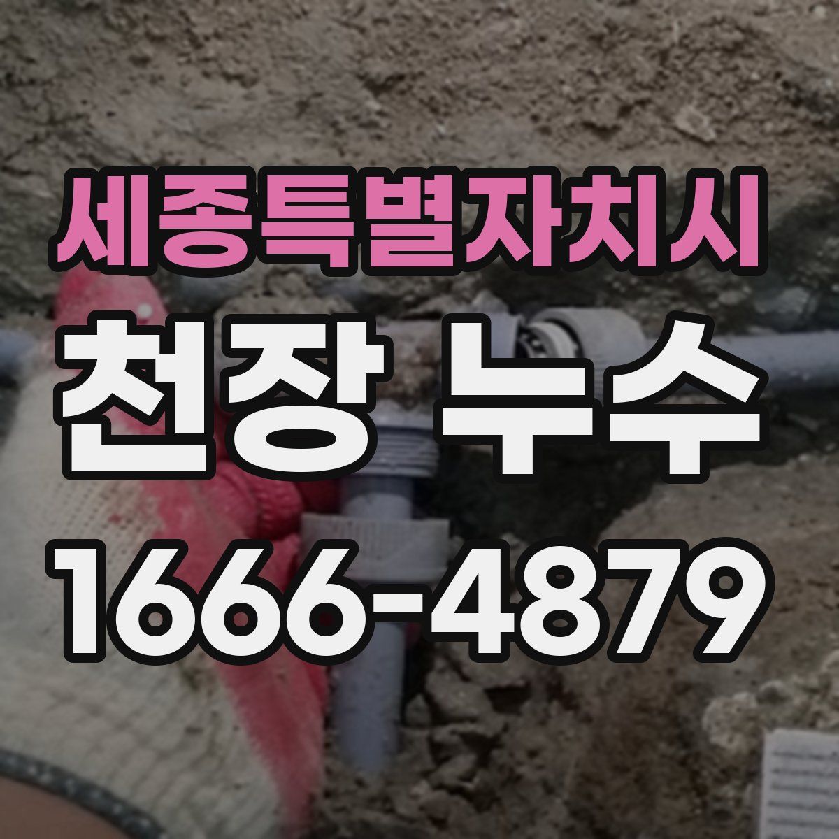 세종특별자치시 천장 누수