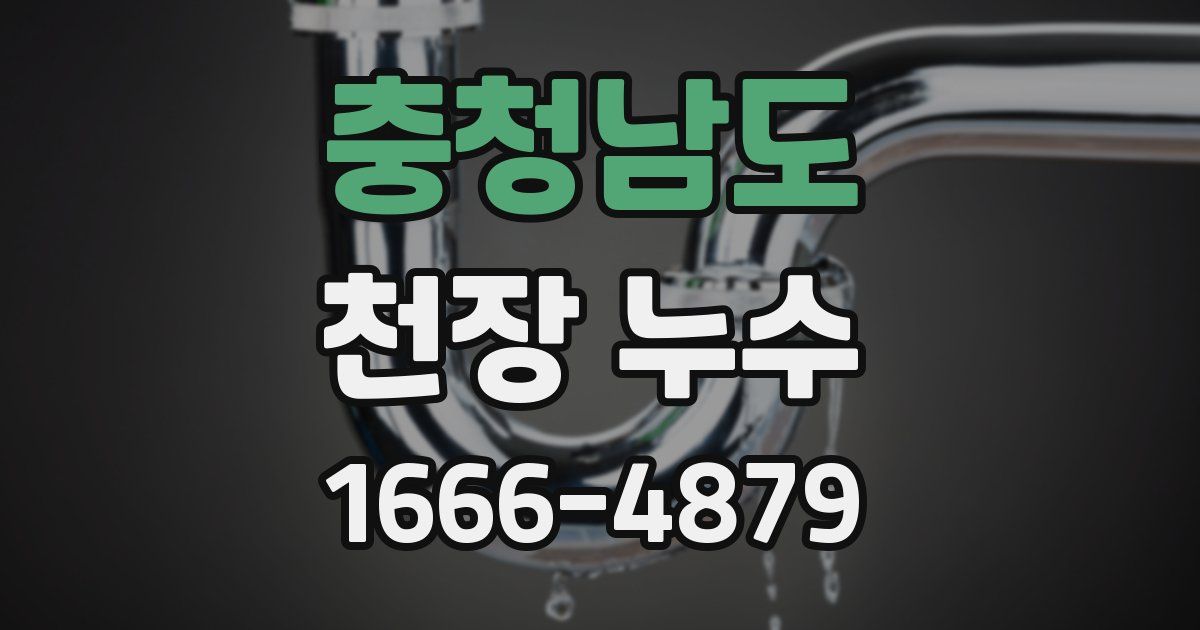 충청남도 천장 누수