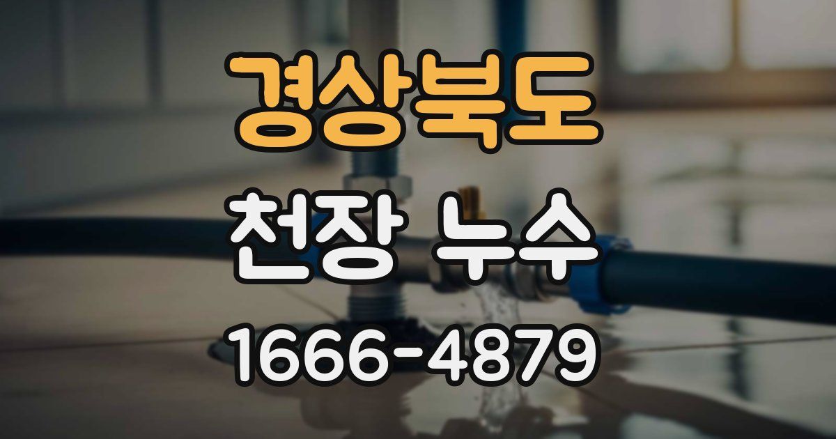 경상북도 천장 누수