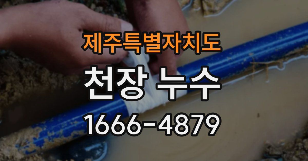 제주특별자치도 천장 누수