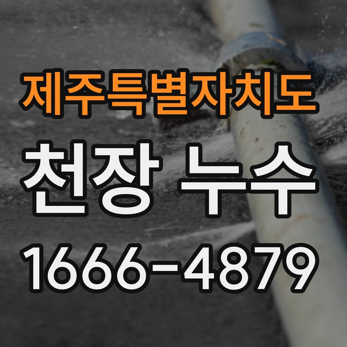 제주특별자치도 천장 누수