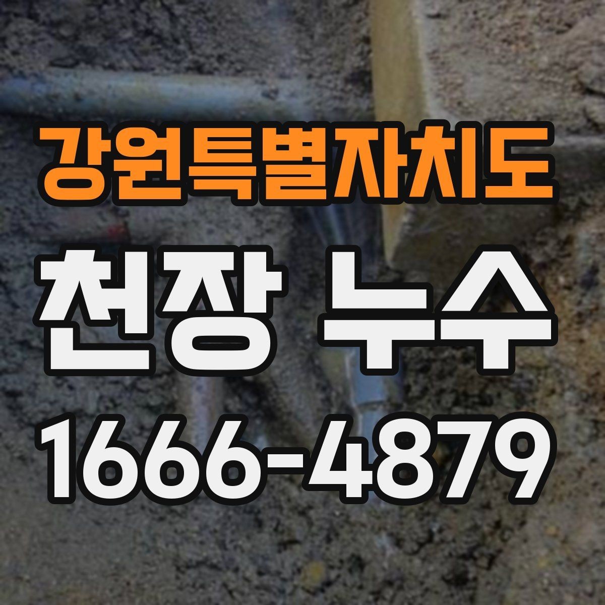 강원특별자치도 천장 누수 화장실 위쪽 천장 누수, 흔한 원인 정리