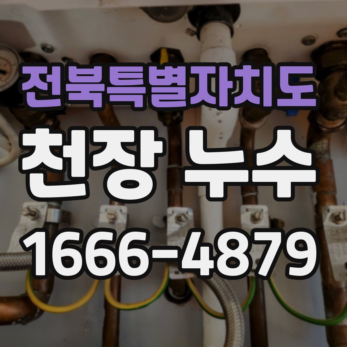 전북특별자치도 천장 누수