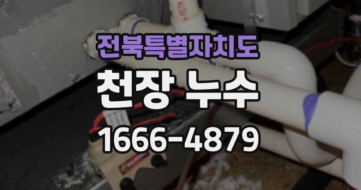 전북특별자치도 천장 누수