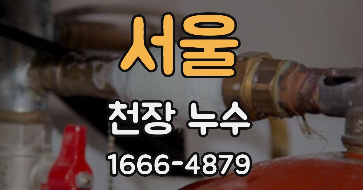 서울 천장 누수