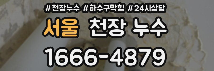 서울 천장 누수