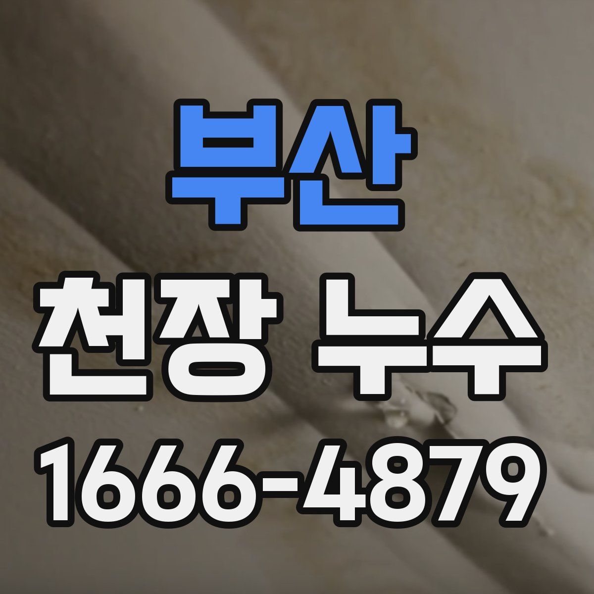 부산 천장 누수