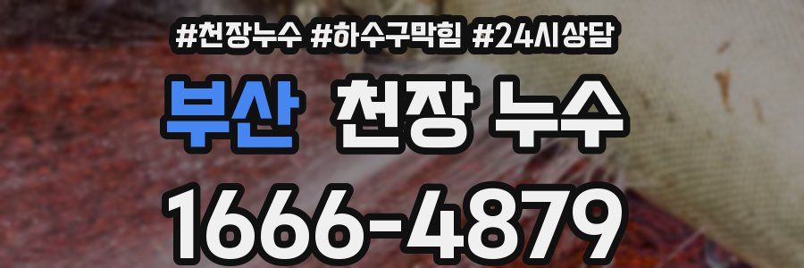 부산 천장 누수