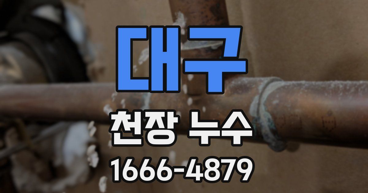 대구 천장 누수