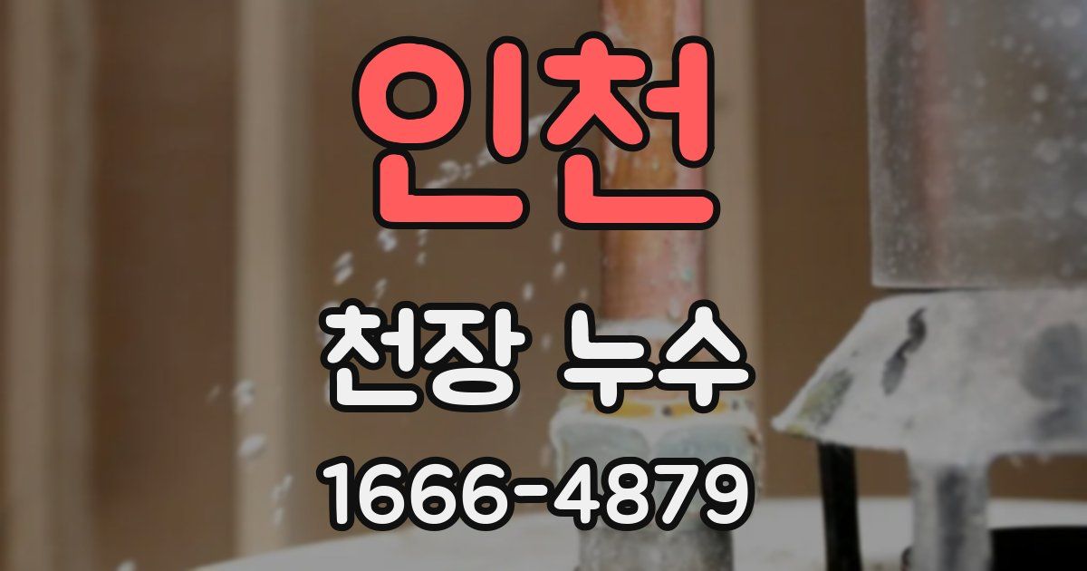 인천 천장 누수