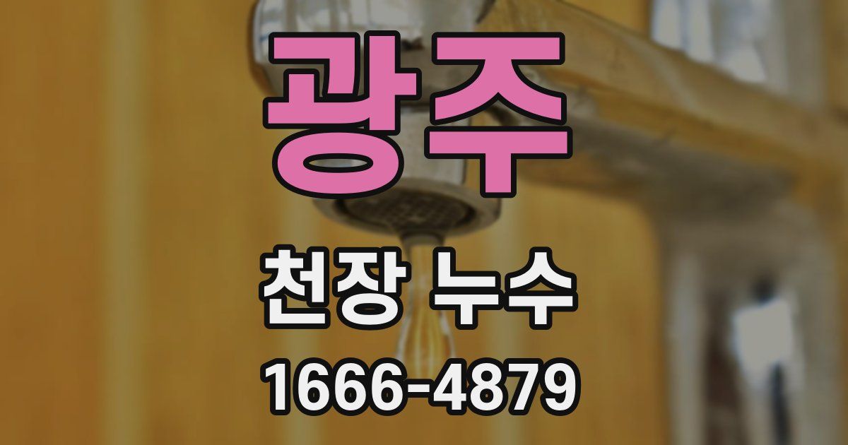 광주 천장 누수