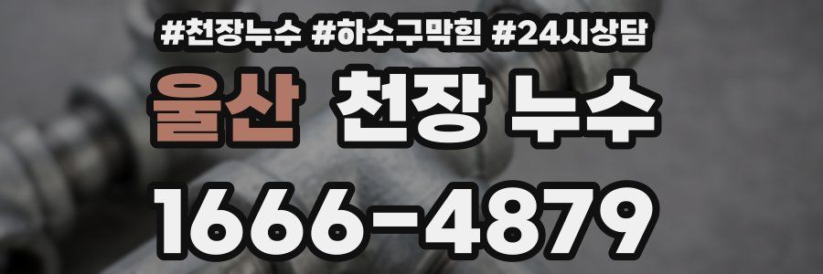 울산 천장 누수