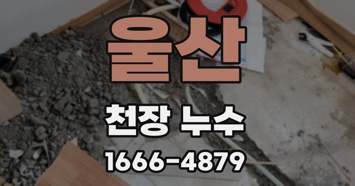 울산 천장 누수