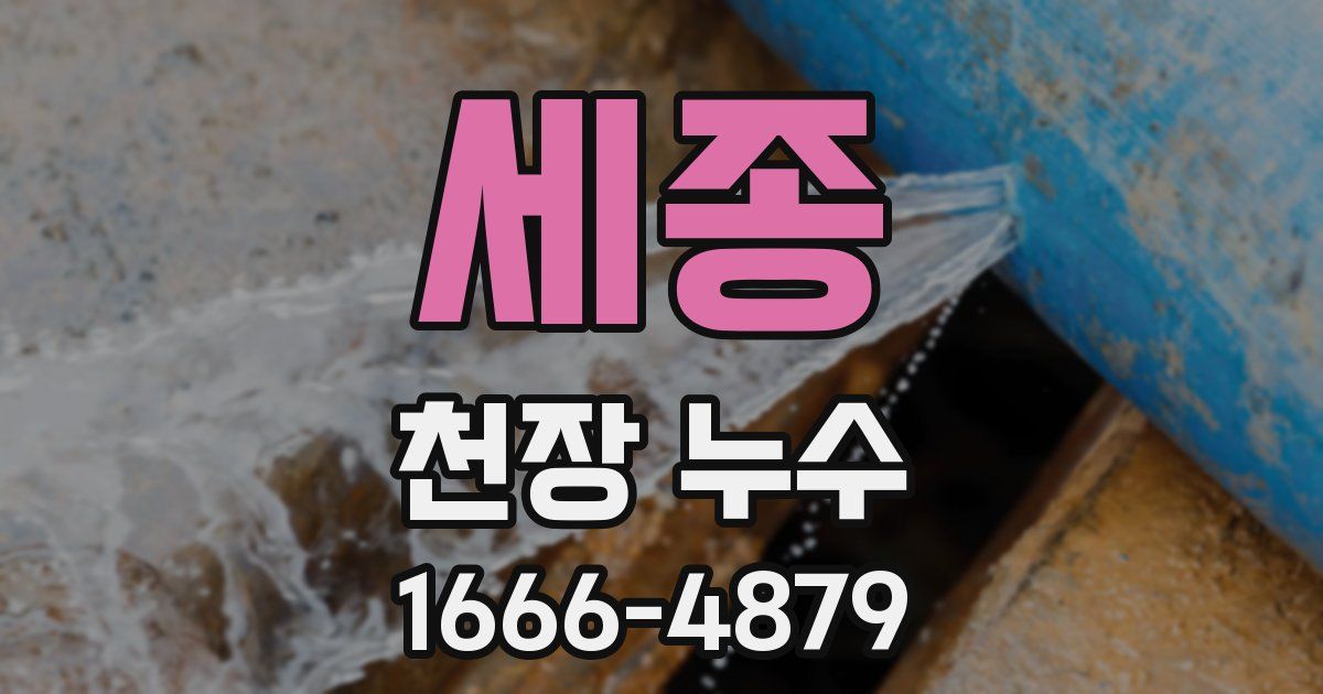 세종 천장 누수