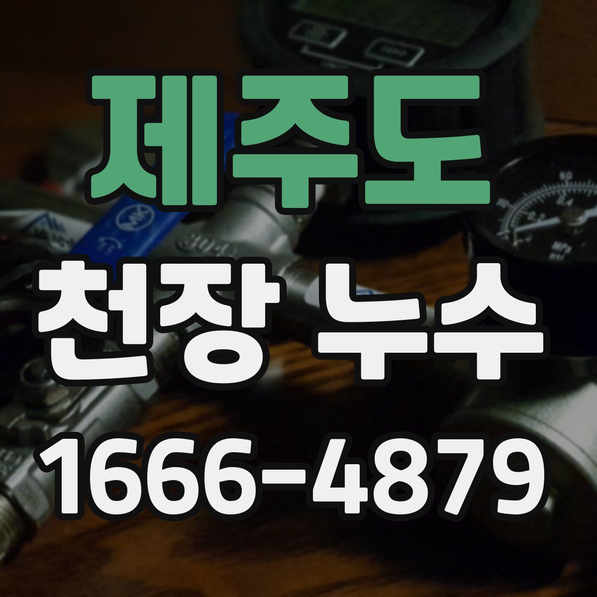 제주도 천장 누수