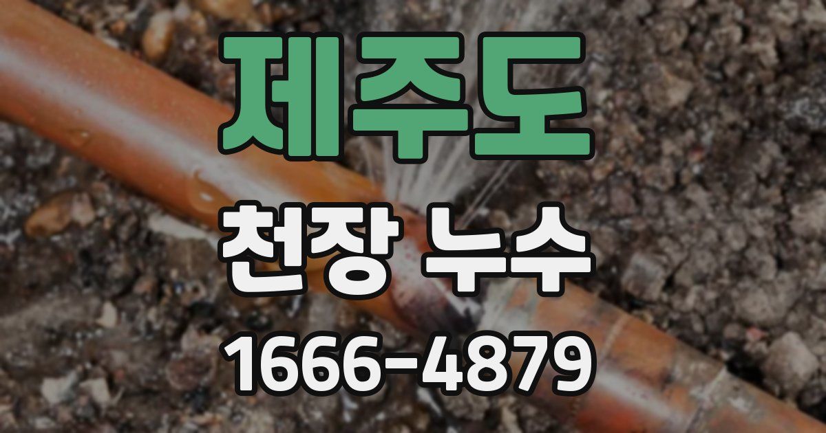 제주도 천장 누수