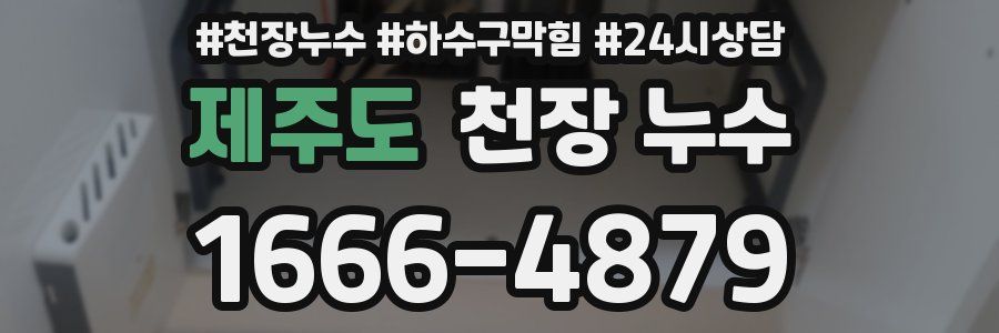 제주도 천장 누수