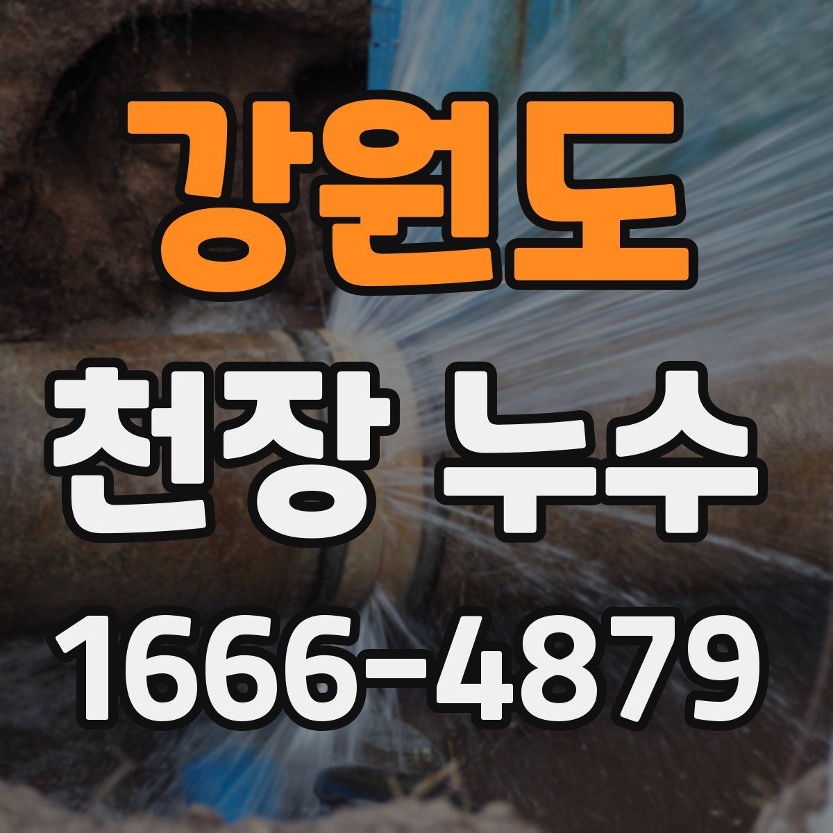 강원도 천장 누수