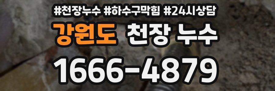 강원도 천장 누수