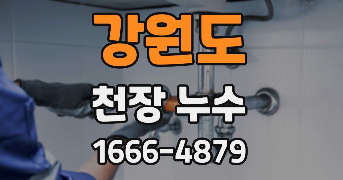 강원도 천장 누수