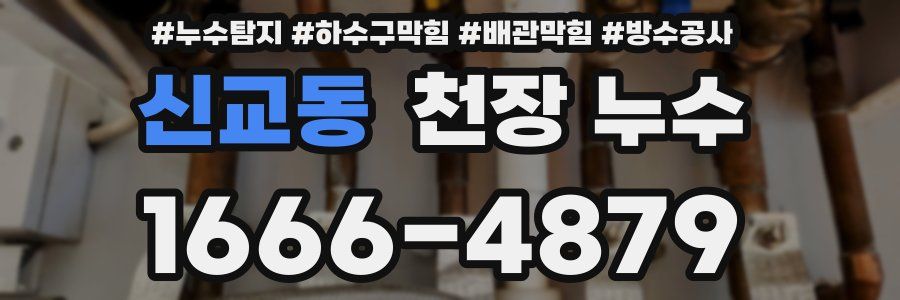 신교동 천장 누수