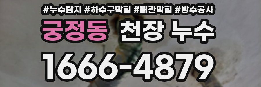 궁정동 천장 누수