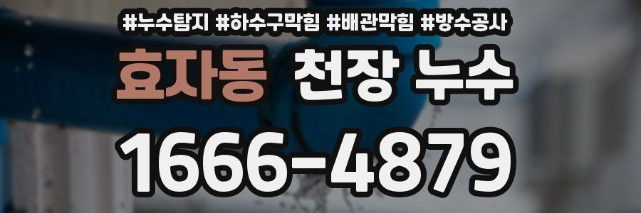 효자동 천장 누수