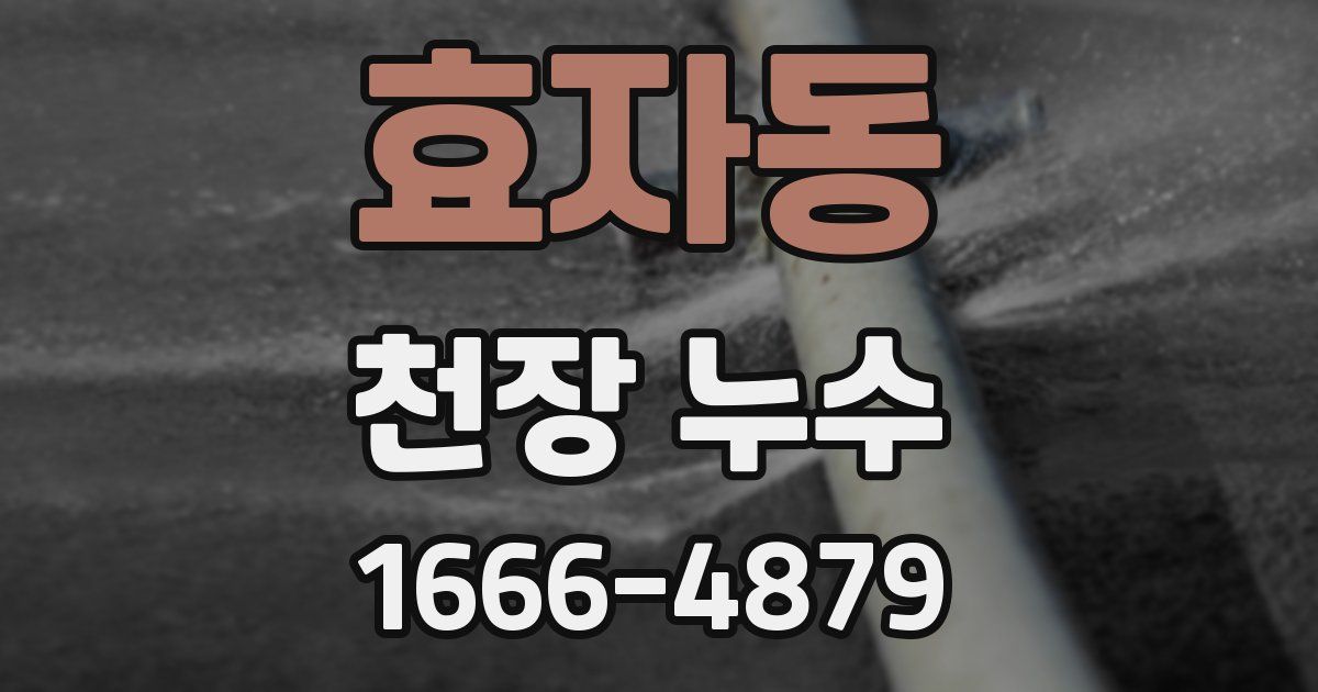 효자동 천장 누수