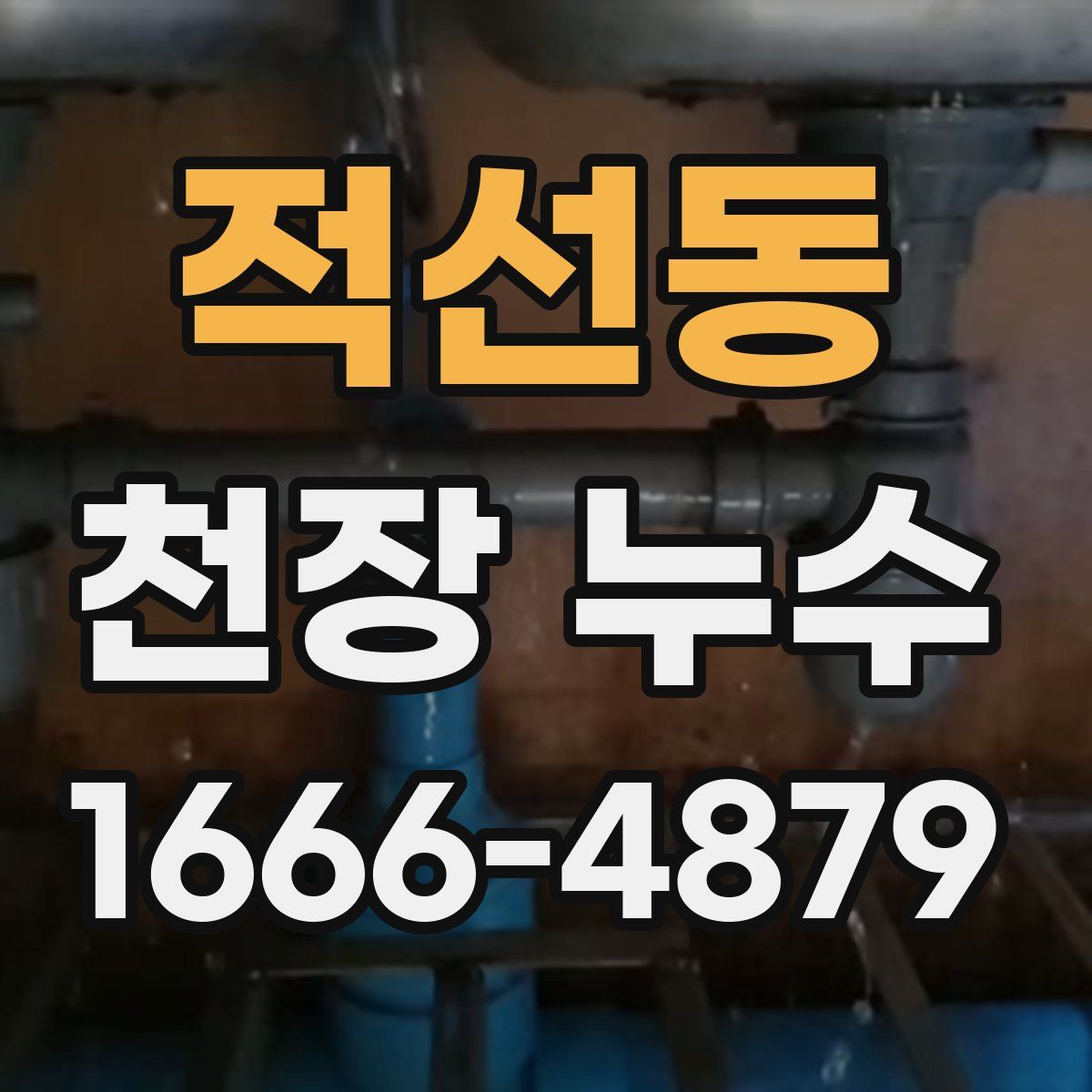 적선동 천장 누수