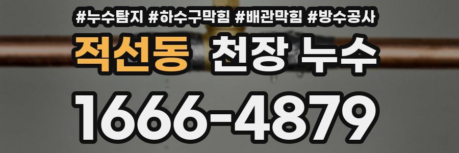 적선동 천장 누수