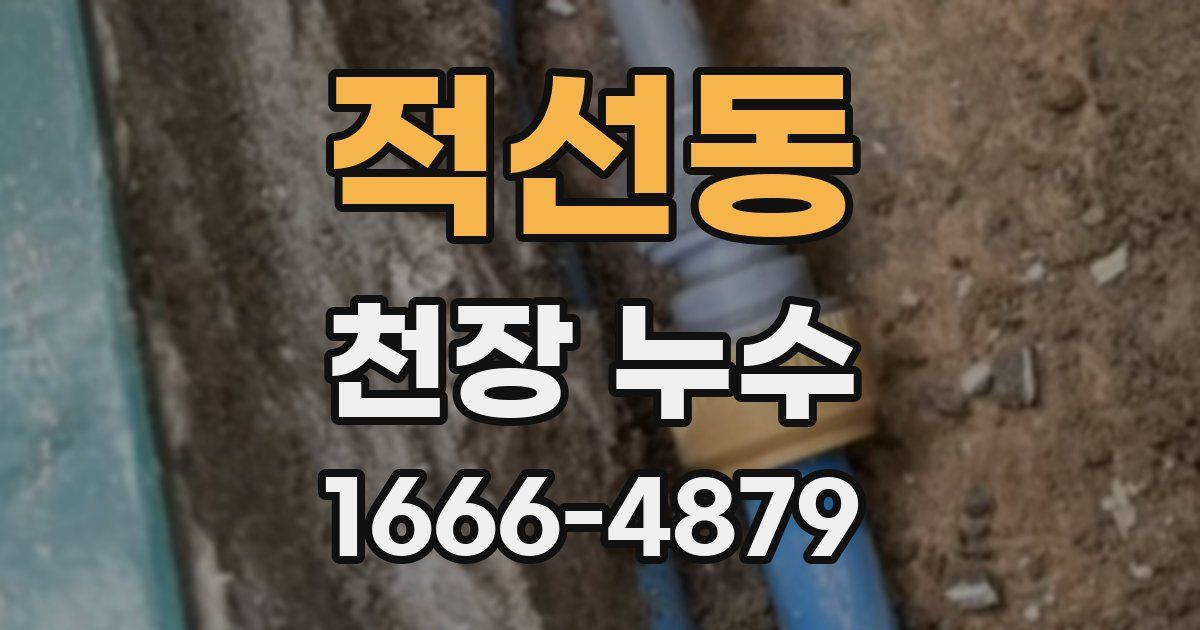 적선동 천장 누수