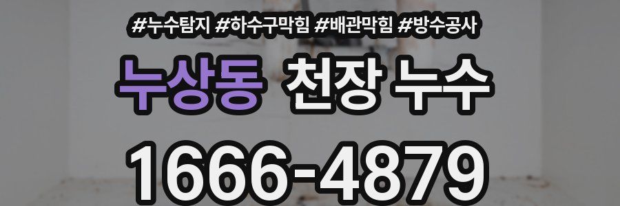 누상동 천장 누수