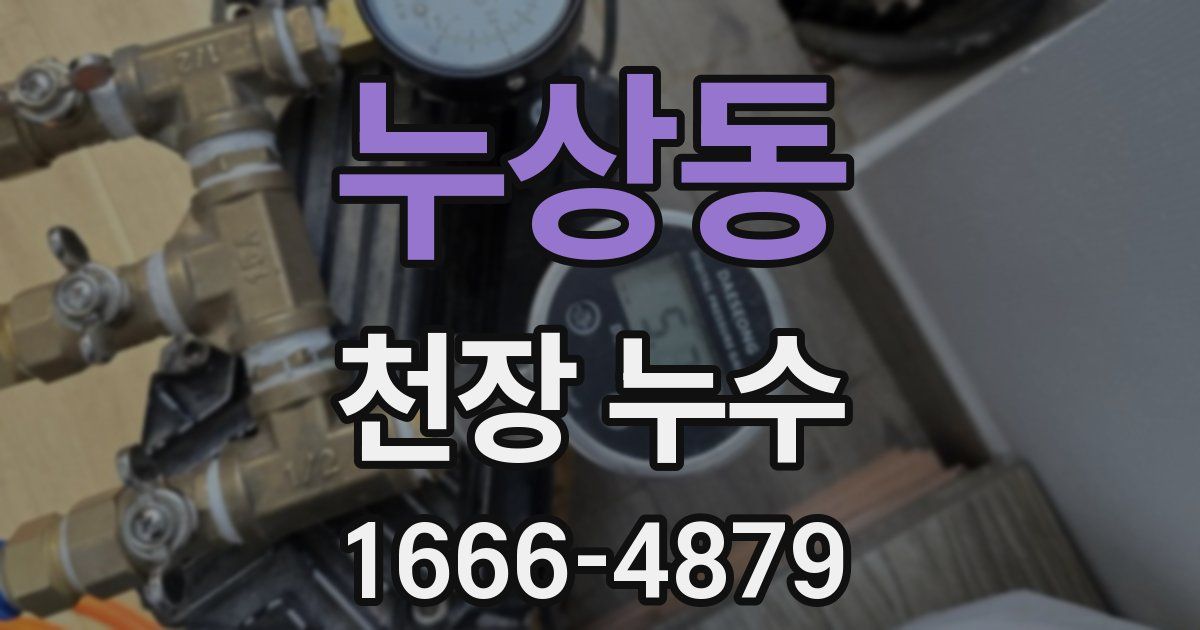 누상동 천장 누수